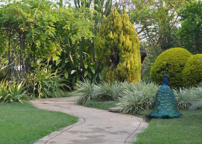 Haut-Katanga Lubumbashi Garden