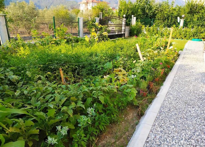 Mugla Ortaca Garden