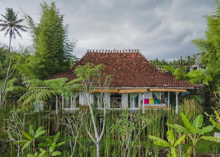  Cangkringan Primary image