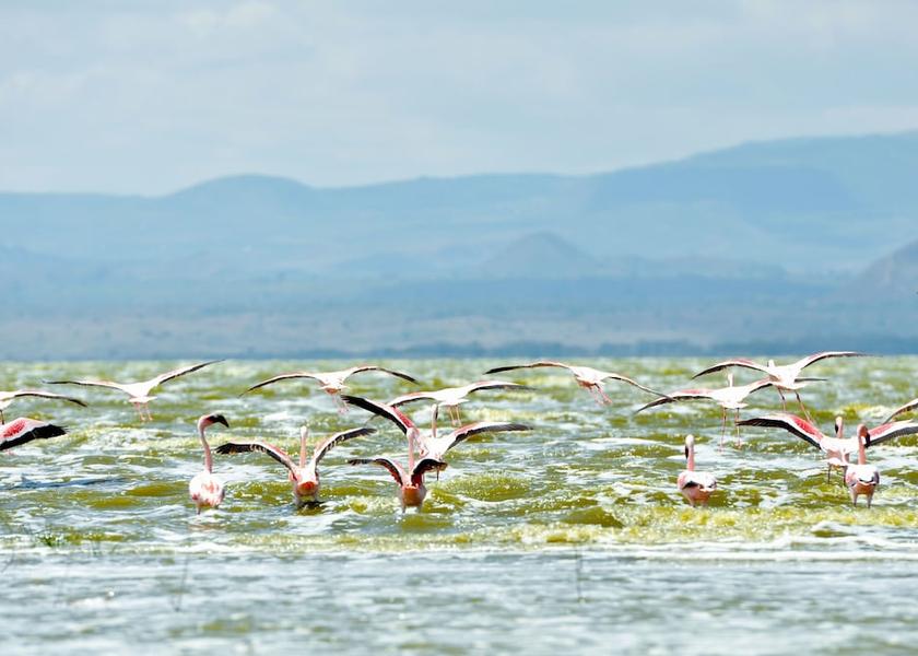  Nakuru Land View from Property