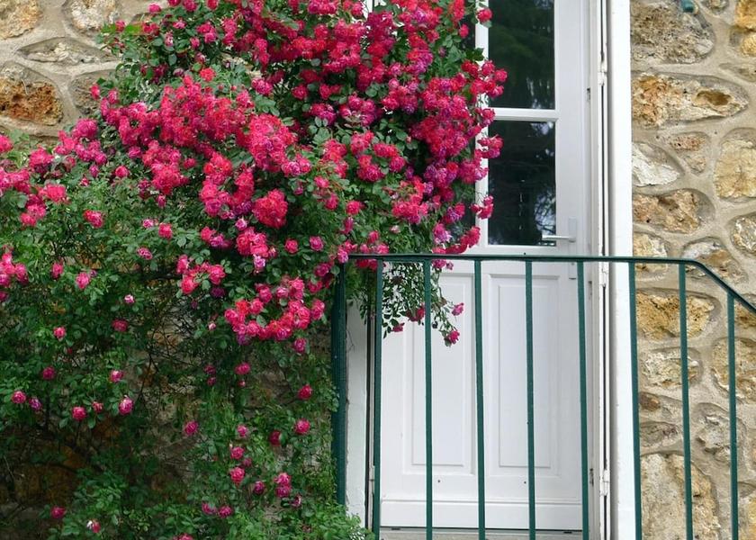 Ile-de-France Villebon-sur-Yvette Exterior Detail