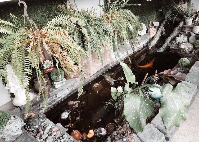 Alberta Calgary Garden