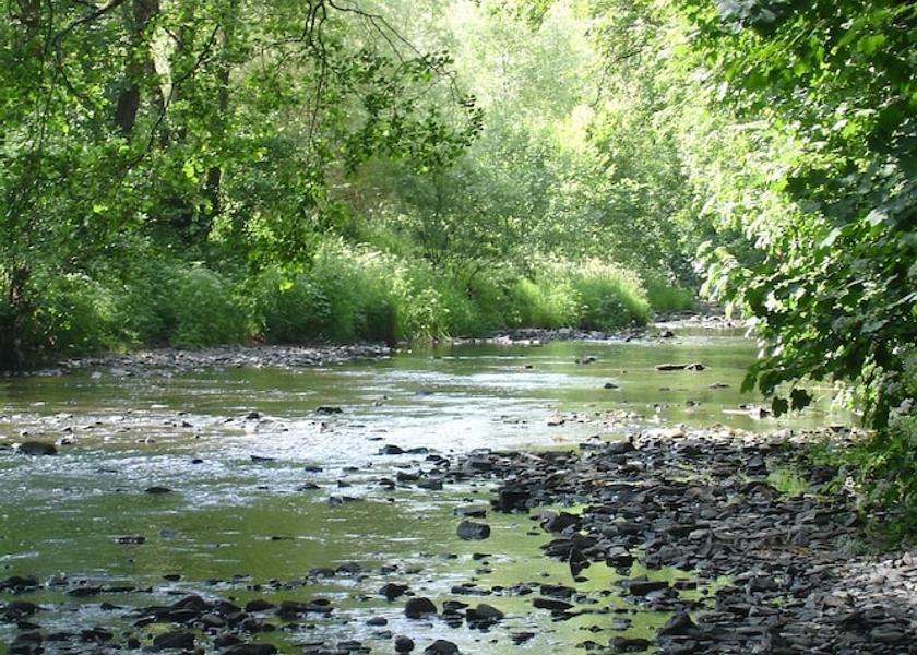England Chulmleigh Lake
