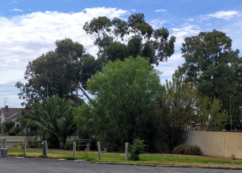 Victoria Kaniva Barbeque