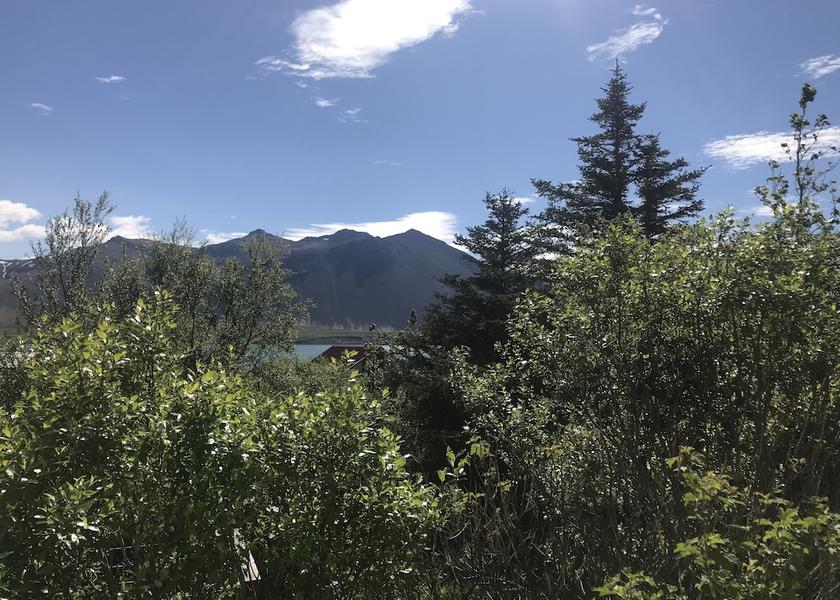 Western Region Borgarnes Garden