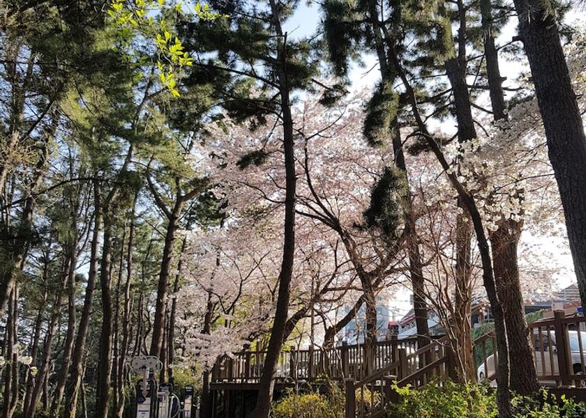 Busan Land view from property