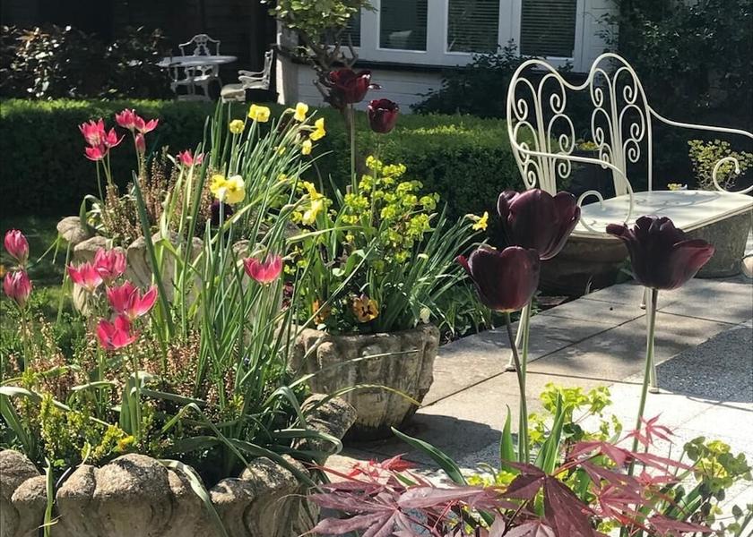 England Aylesbury Garden