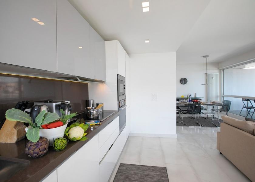 Canton of Ticino Paradiso Kitchen