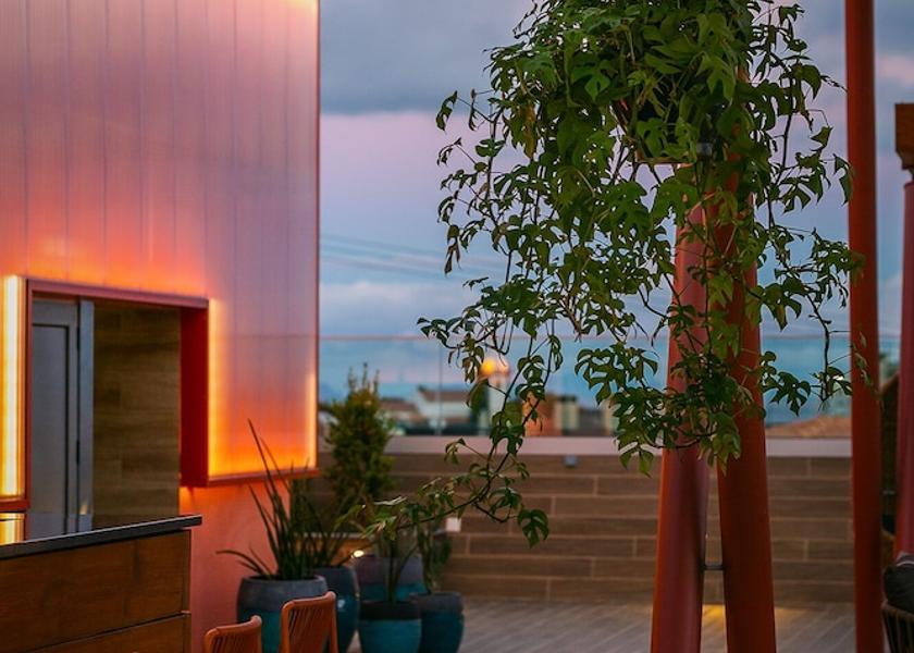 Madeira Region Funchal Poolside bar