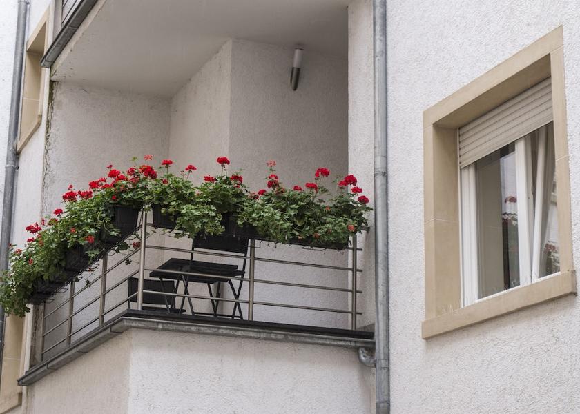 Canton Luxembourg Luxembourg City Terrace