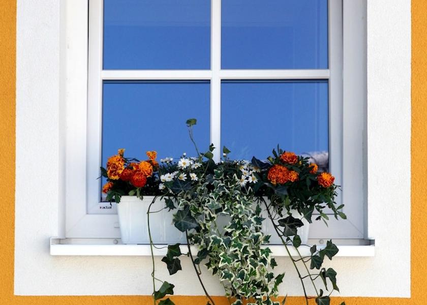 Salzburg (state) Salzburg Facade