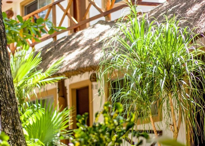 Quintana Roo Puerto Morelos Room