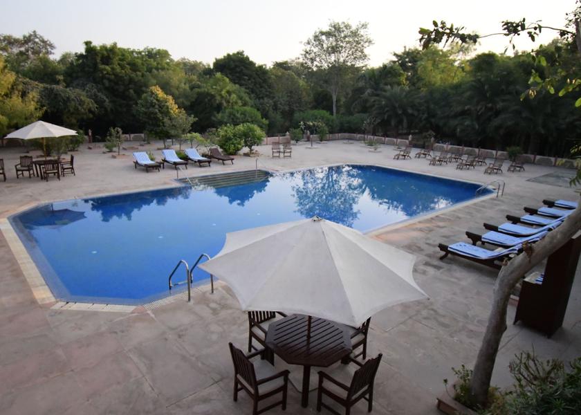 Rajasthan Bharatpur Pool