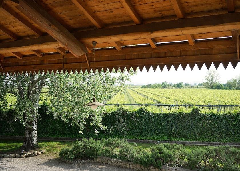 Veneto San Pietro in Cariano View From Room