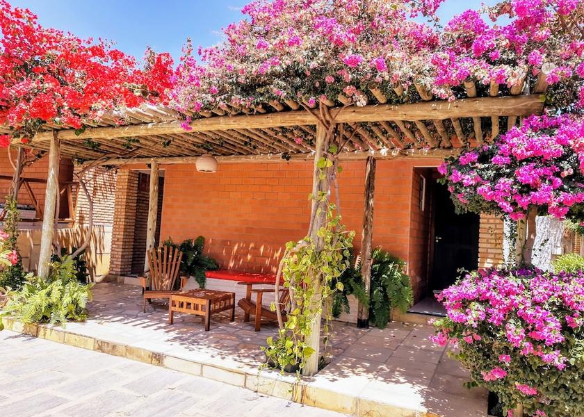 Ceará Aracati Garden View