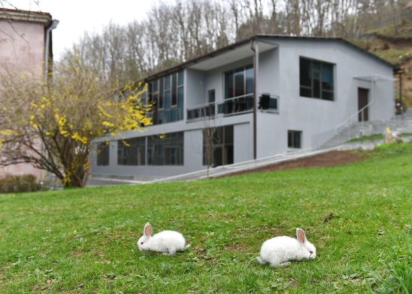  Dilijan Garden