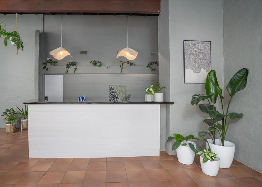 New South Wales Armidale Reception