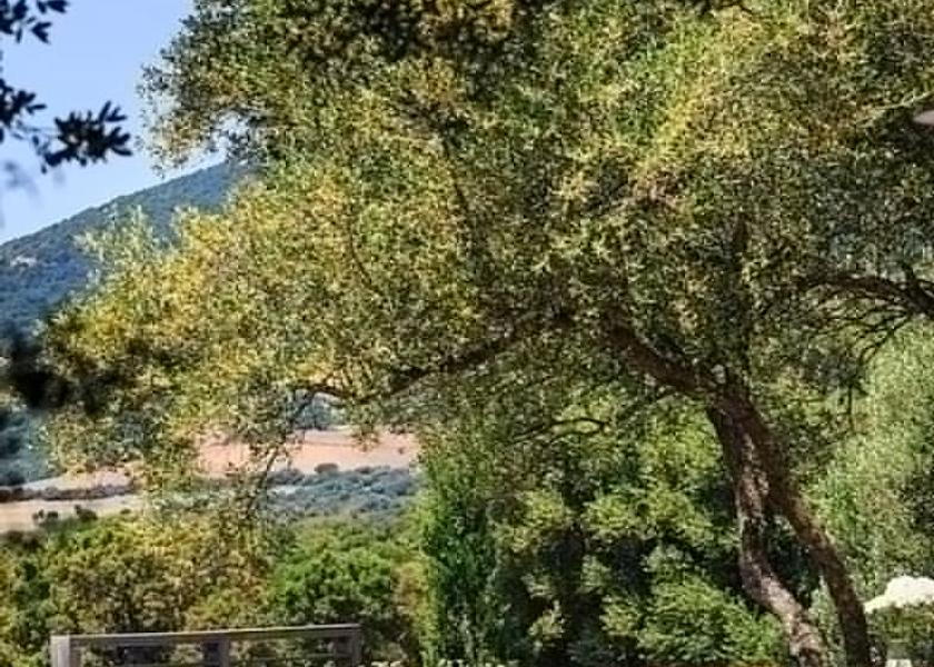 Corsica Figari Terrace