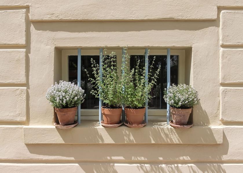 Tuscany Foiano della Chiana Courtyard