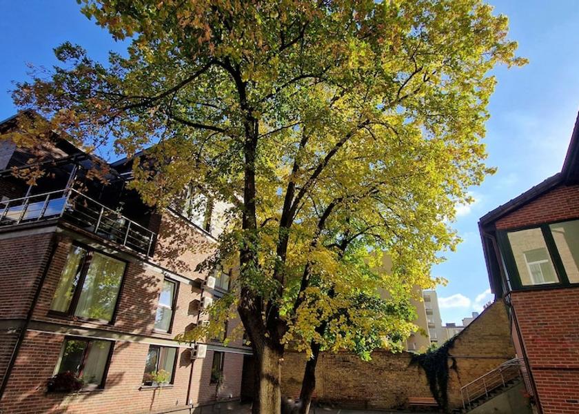 Vilnius County Vilnius Exterior Detail