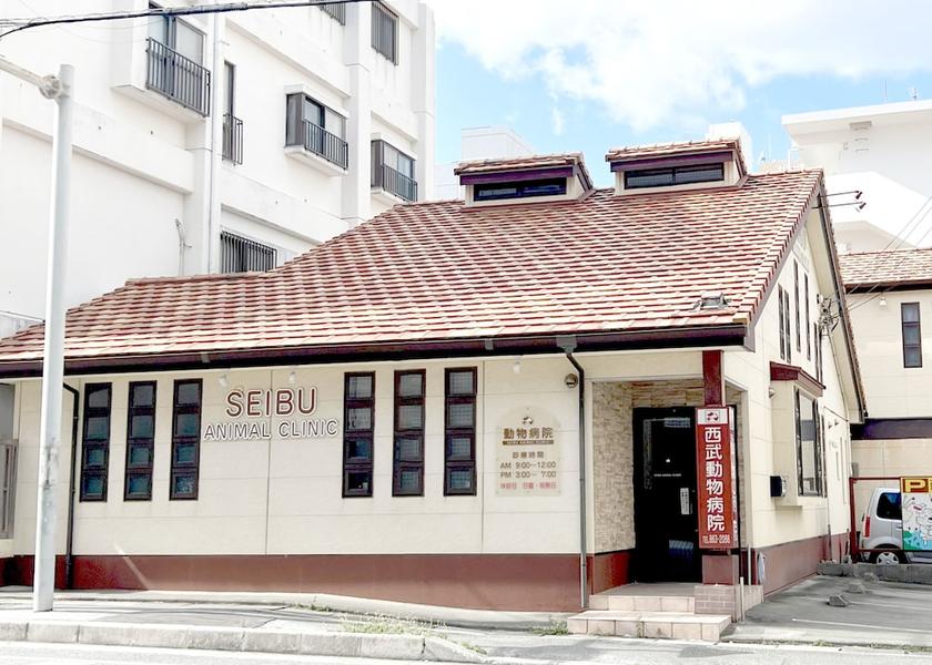 Okinawa (prefecture) Naha Room