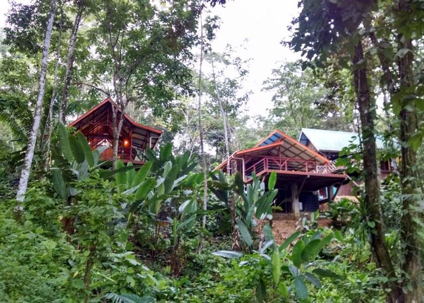 Bocas del Toro Bocas del Toro Exterior Detail
