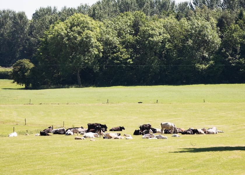 England Knaresborough View from Property