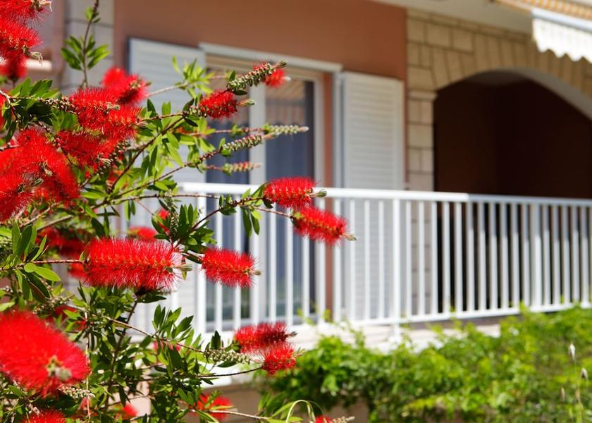 Dubrovnik - Southern Dalmatia Vela Luka Garden