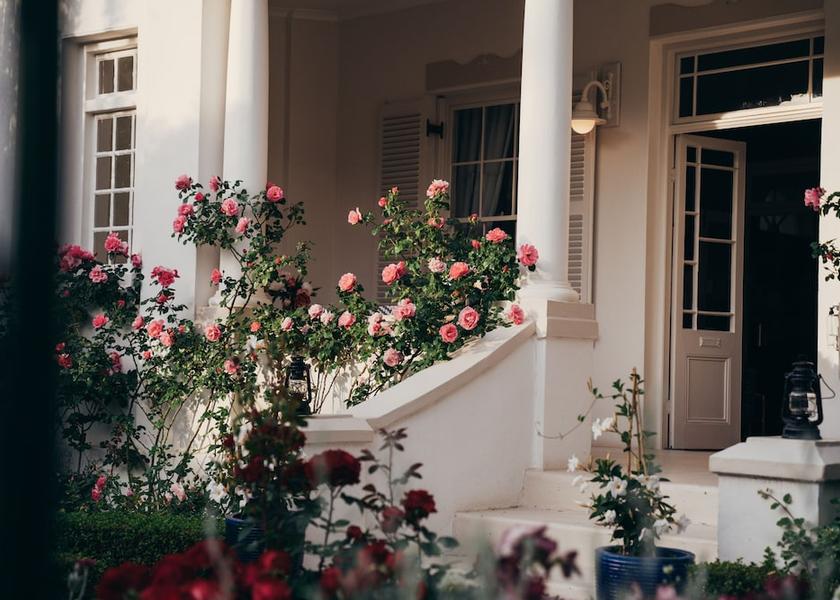 Western Cape Franschhoek Terrace