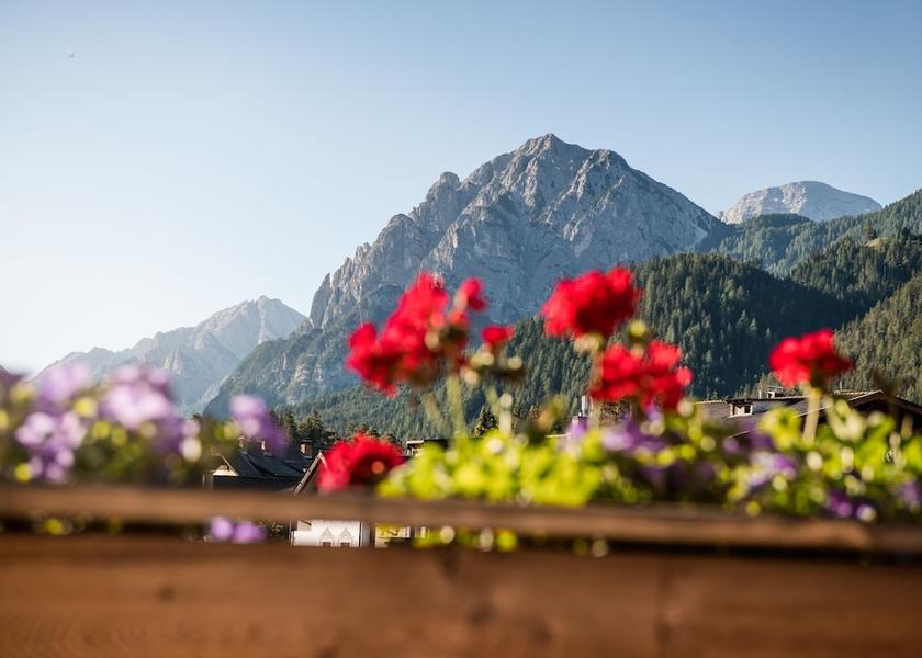 Trentino-Alto Adige Marebbe View from Property