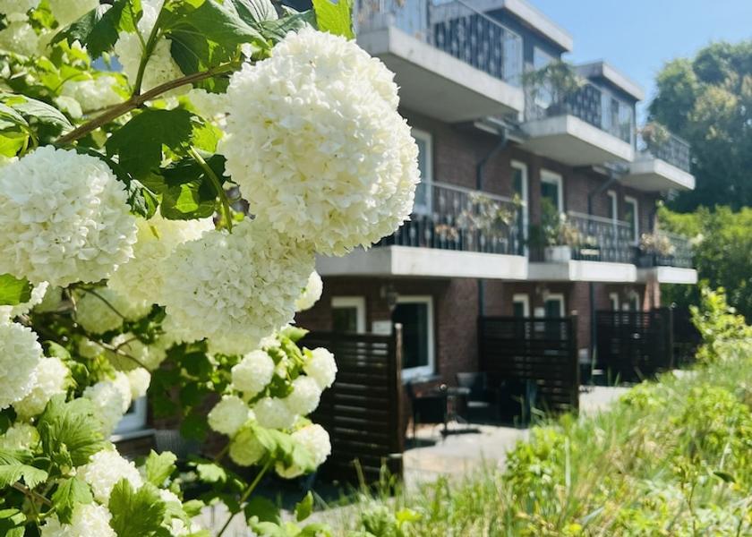 Schleswig-Holstein Wangels Exterior Detail