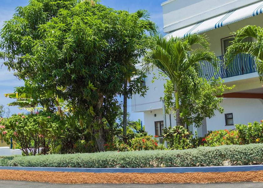 Saint Ann St. Ann's Bay Facade