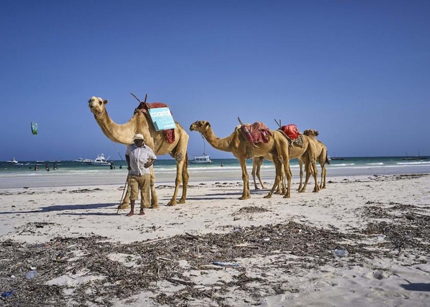  Diani Beach Ecotours