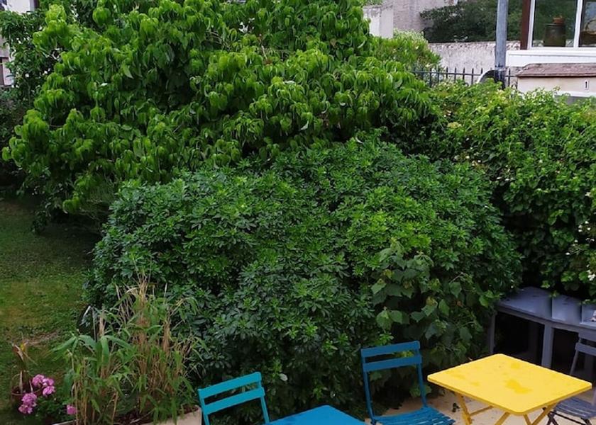 Centre-Loire Valley Amboise Terrace/patio