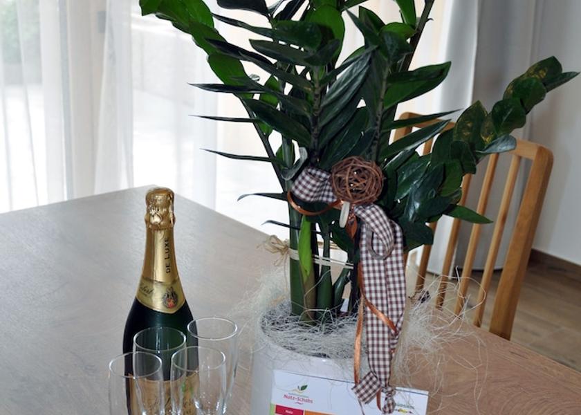 Trentino-Alto Adige Naz Sciaves Interior Entrance