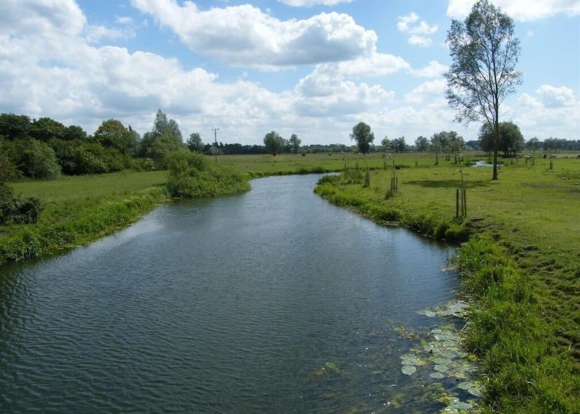 England Harleston View from Property
