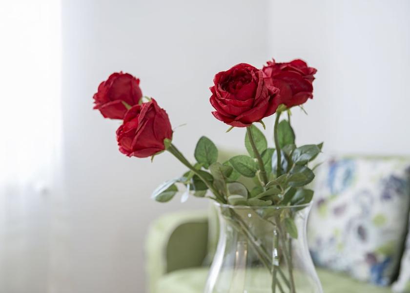 Montana Belgrade Interior Entrance