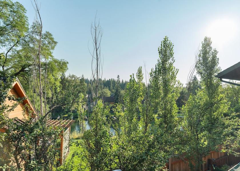 Montana Bigfork Room