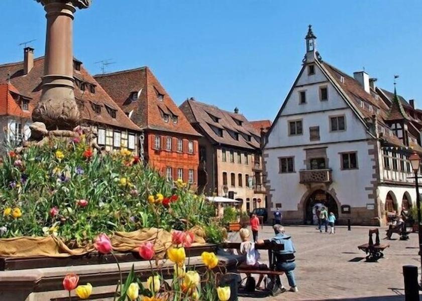 Grand Est Obernai City view