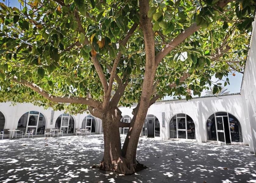  Nabeul Exterior Detail