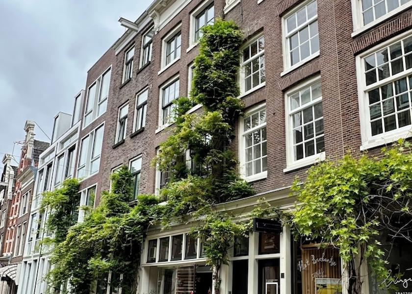 North Holland Amsterdam City View from Property