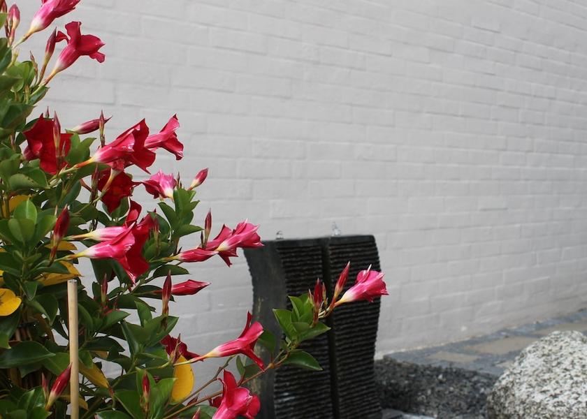 Syddanmark Odense Amenity