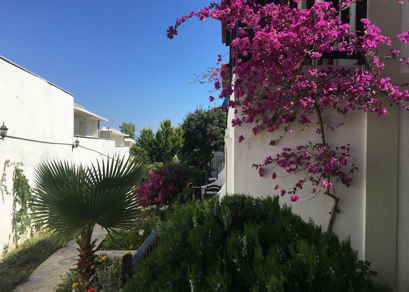 Muğla Bodrum Property Grounds