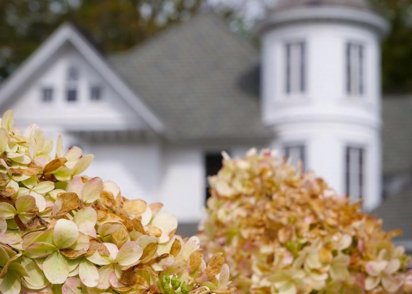 New York fleischmanns Facade