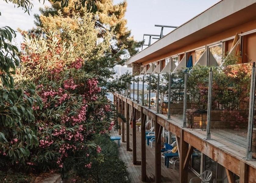 Corsica Serra-di-Ferro Property Grounds