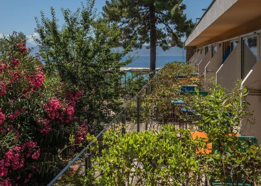 Corsica Serra-di-Ferro Property Grounds