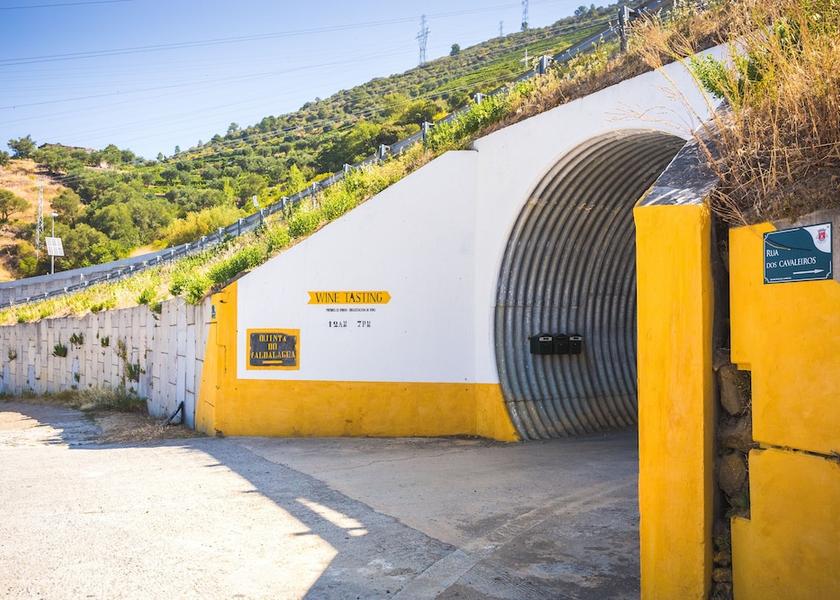 Viseu Lamego Winery