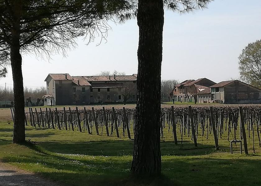 Friuli-Venezia Giulia Aquileia Courtyard