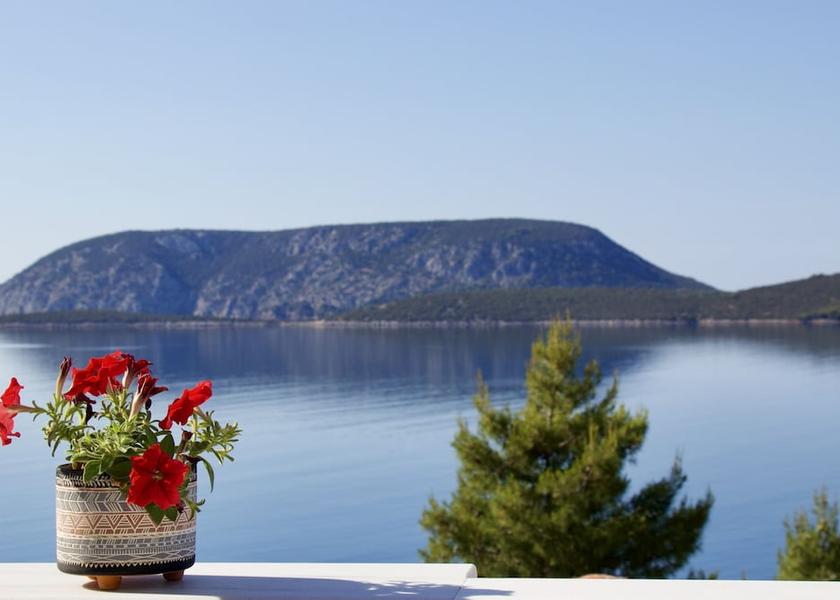 Peloponnese Region Ermionida Terrace