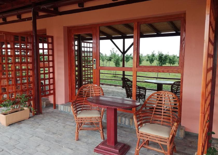 Vojvodina Novi Sad Terrace/patio